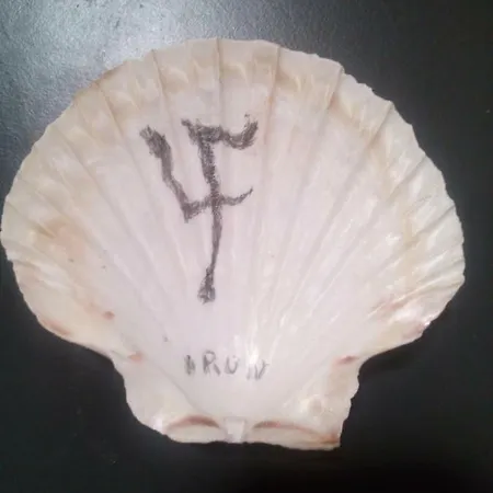 Los Fronterizos * Ιρούν